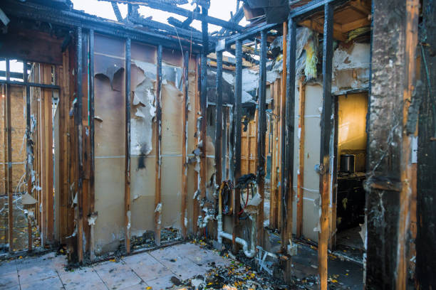 Professional Emergency Fire Cleanup technician working in South Monrovia Island, CA